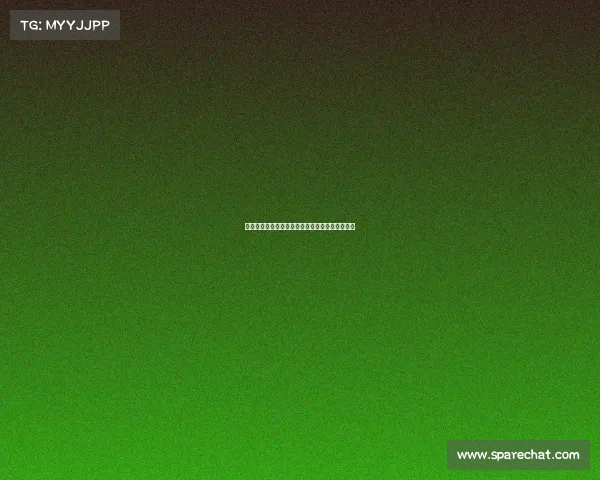 本怀特与哲凯赖什曾携手并肩作战的篮球传奇时刻